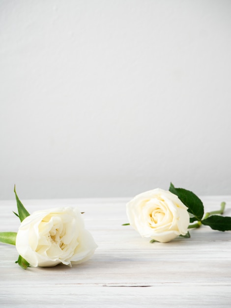 White roses on a white wooden table 