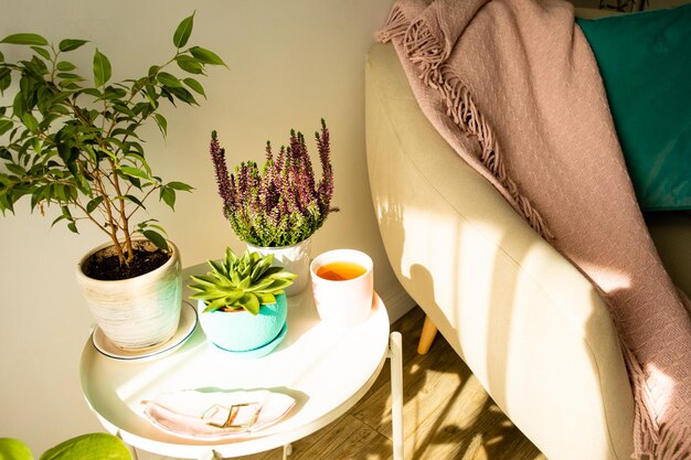 Белый круглый стол с несколькими растениями в горшках и белой чашкой чая Журнальный столик возле кресла или дивана Уютное место, где можно провести утро в тишине