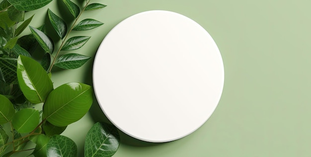 White round template podium mockup for natural organic cosmetic product and presentation minimalist flatlay mock up
