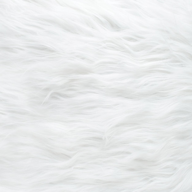 Photo a white rug that has the word fur on it.