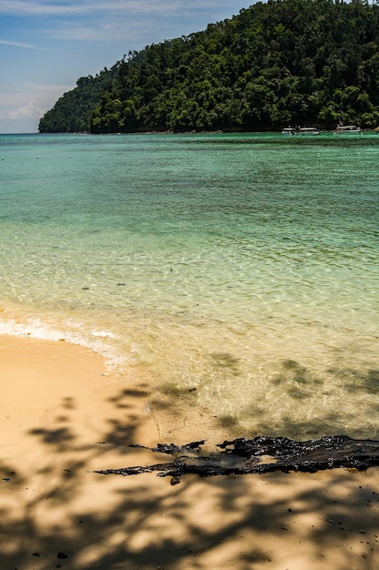 White sand beach polluted by dark oil beside the sea