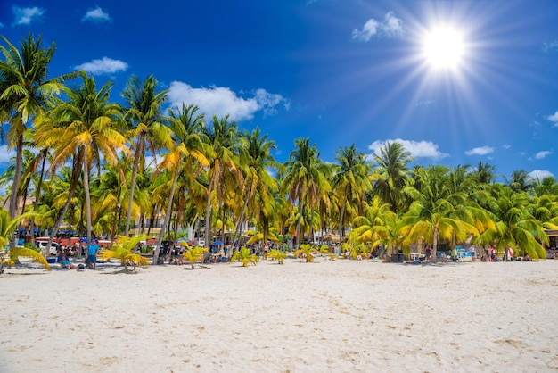 코코스 야자수가 있는 하얀 모래 해변 Isla Mujeres 섬 카리브해 칸쿤 유카탄 멕시코