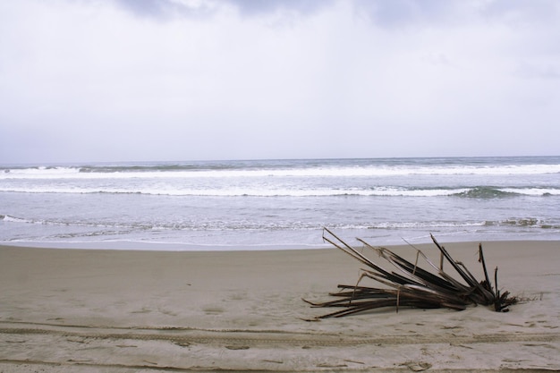 white sand on the beach