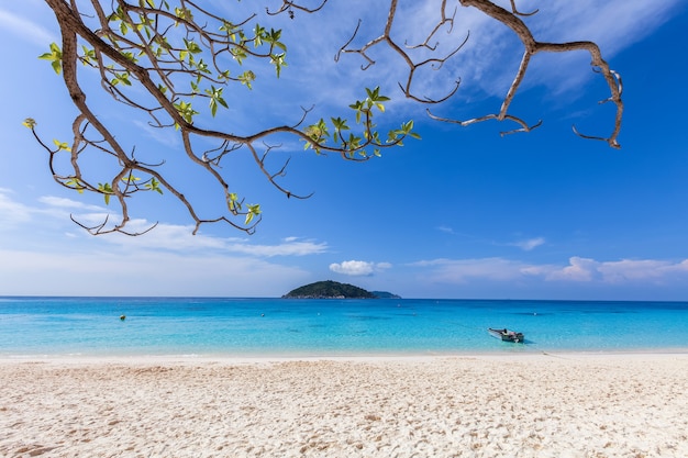 White sand and blue water.