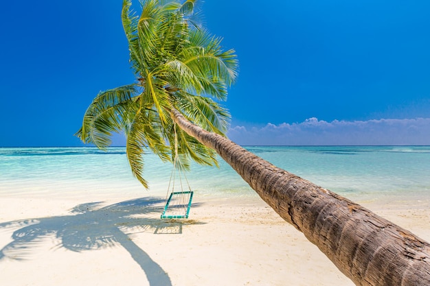 White sand and coco palms swing hanging Beautiful travel tourism panorama Amazing beach landscape