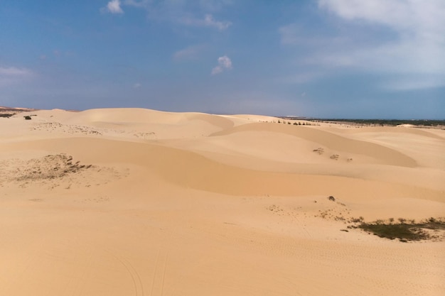 White sand dune with blue sky in desert on sunny