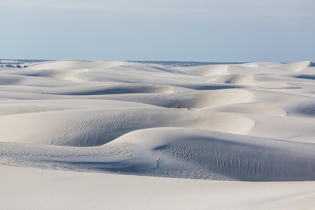 Photo white sand dunes