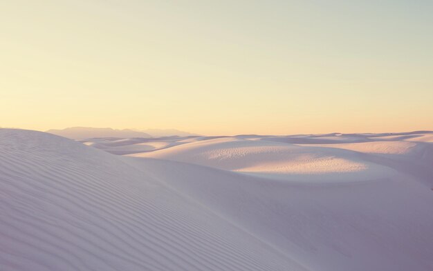 Photo white sand dunes
