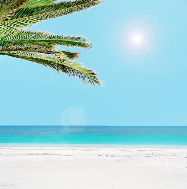 Белый песок и пальмы на Сардинии