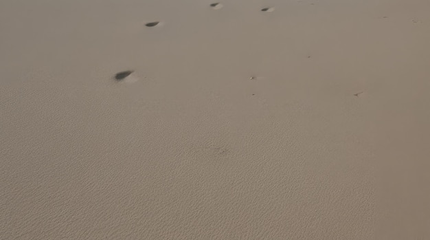 写真 白い砂の質感の背景