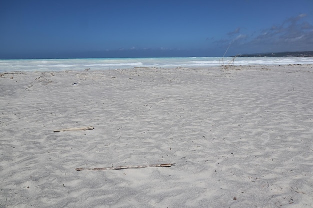 하얀 모래 열대 해변