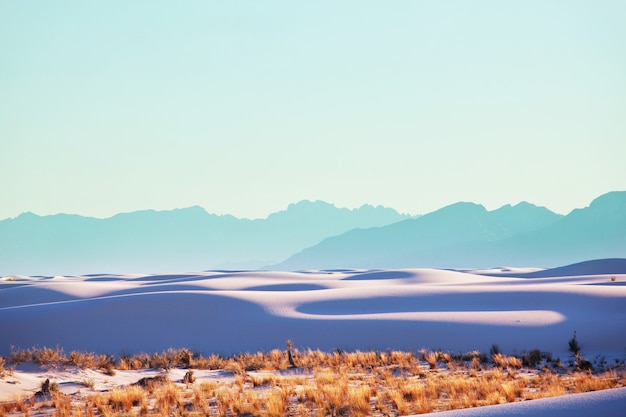 White Sands Dunes  in New Mexico, USA