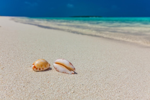 White sandy beach in Maldives with amazing blue lagoon and blue sky