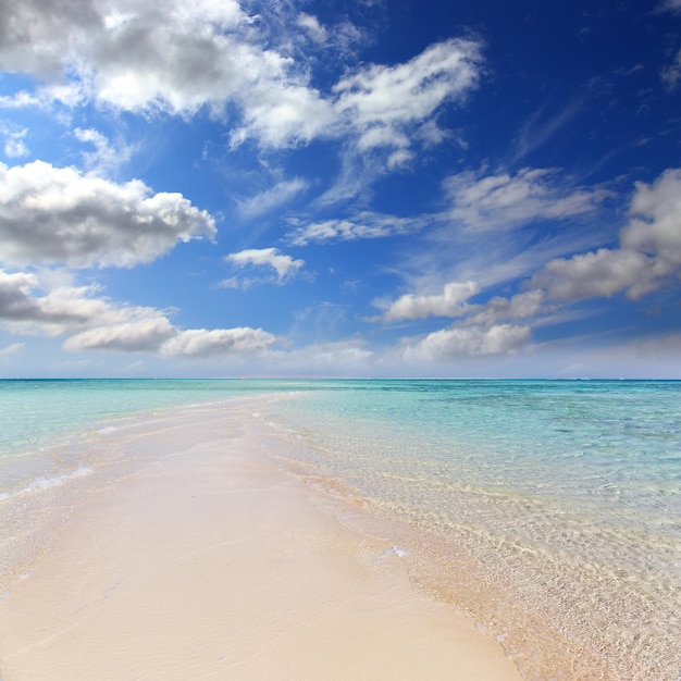 White sandy sea spit beach leading into ocean