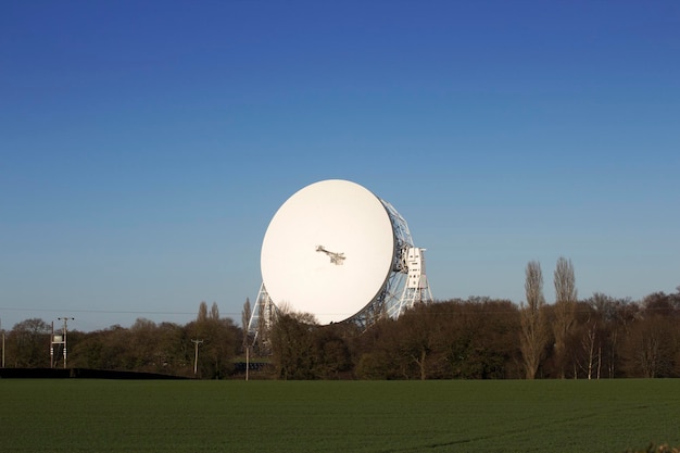 写真 青い空を背景に樹木に付いた白い衛星天井