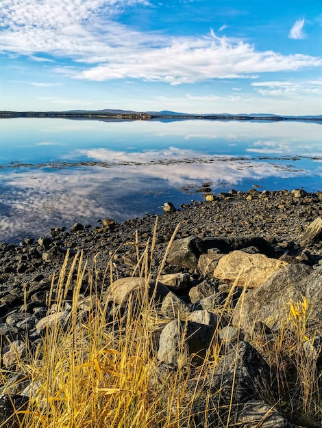 晴れた日に前景に木があり、水に石がある白海の海岸カレリア