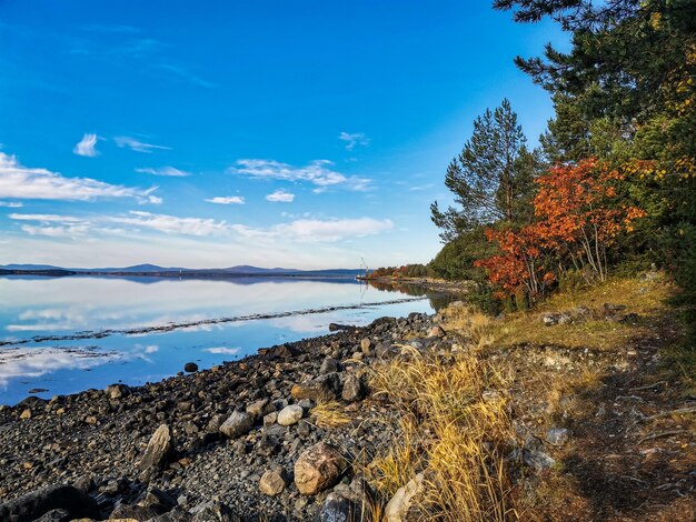 晴れた日に前景に木があり、水に石がある白海の海岸カレリア