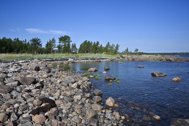 The White Sea coast