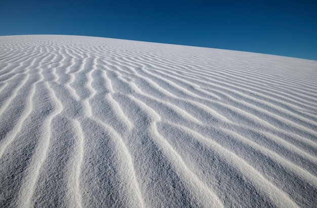 White send dunes