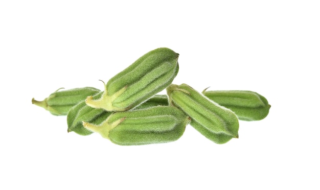 White sesame  isolated on white background.