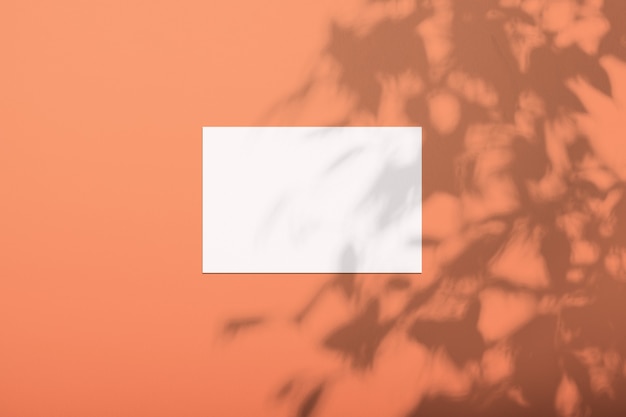 Белый лист на стене цвета пышной лавы с тенью от дерева