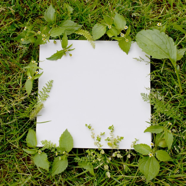 Foto foglio di carta bianco su uno sfondo di erba verde