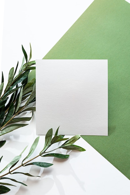 White sheet of paper eucalyptus branch and long shadows