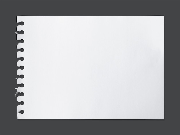 Photo white sheet of paper texture for background with clipping path.