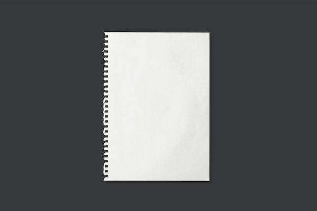 White sheet of paper texture for background with clipping path.