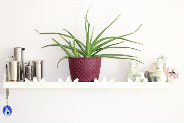 A white shelf with a plant in it A pot of aloe vera sits on a shelf next to a vase of flowers