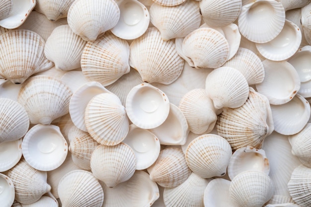 White shellfish pattern sea Snail spa Generate Ai
