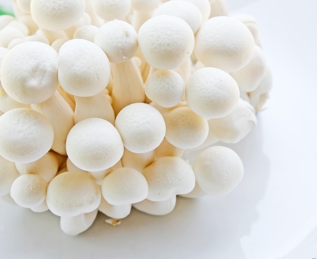 White Shimeji mushrooms