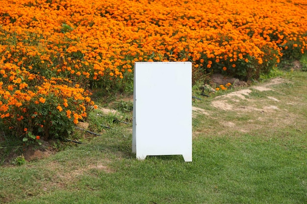 White sign next to the flower bed in the garden