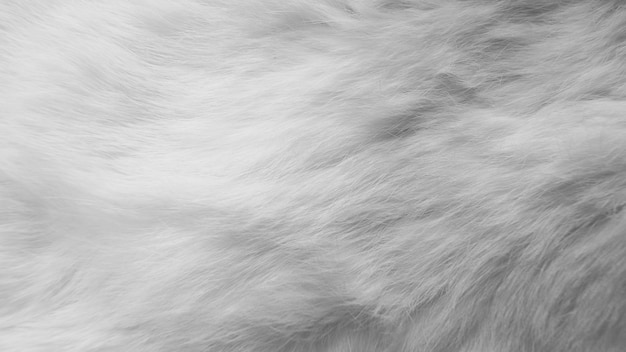 White silk feathers. Wool, white rabbit skin