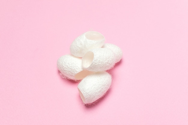 White silkworm cocoons shell on pink 