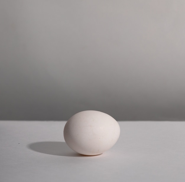 White single animal egg. Chicken egg with soft shadows on white background.