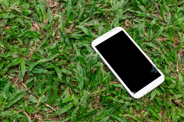 Foto smart phone bianco con lo schermo in bianco sulla priorità bassa dell'erba verde