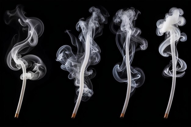 写真 コピースペースの黒い背景の白い煙のコレクション
