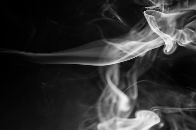 White  smoke motion on black background.