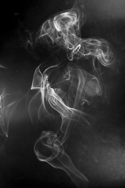 White  smoke motion on black background.