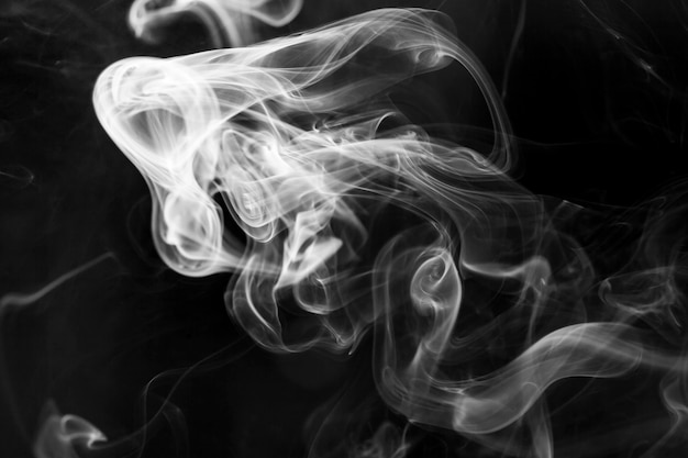White  smoke motion on black background.