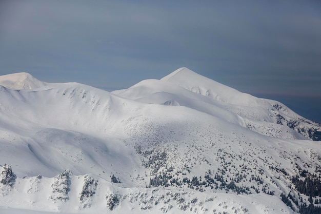 嵐の日の Chornohora 範囲カルパティア山脈の白い雪山 Hoverla ピーク