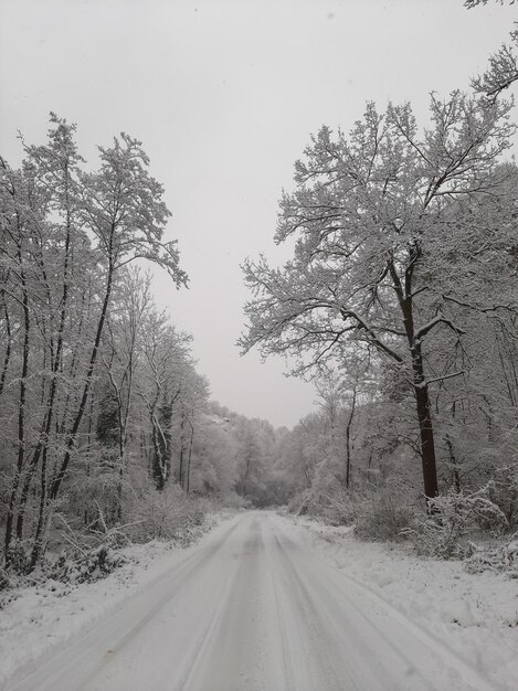 写真 田舎の白い雪道。滑りやすい道路と氷でクリスマスに危険な運転。