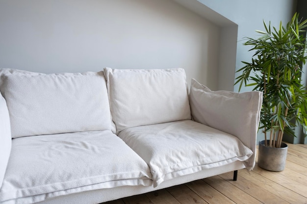 a white sofa on the background of a light wall and next to it is a green houseplant in a pot