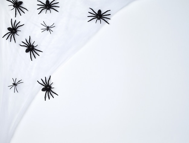 White spider web with black spiders, black  