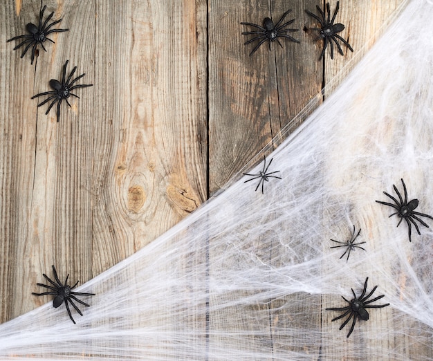 White spider web with black spiders on a gray wooden background