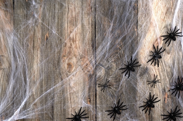 White spider web with black spiders on a gray wooden  from old boards, backdrop for the holiday Halloween