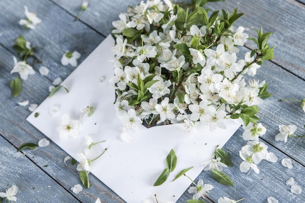 White spring cherry blossom on blue rustic wooden table.