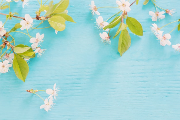 Photo white spring flowers on blue wooden table