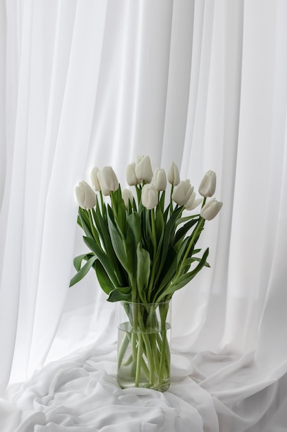 창가에 하얀 봄 꽃 튤립 커튼 질감 내부의 꽃